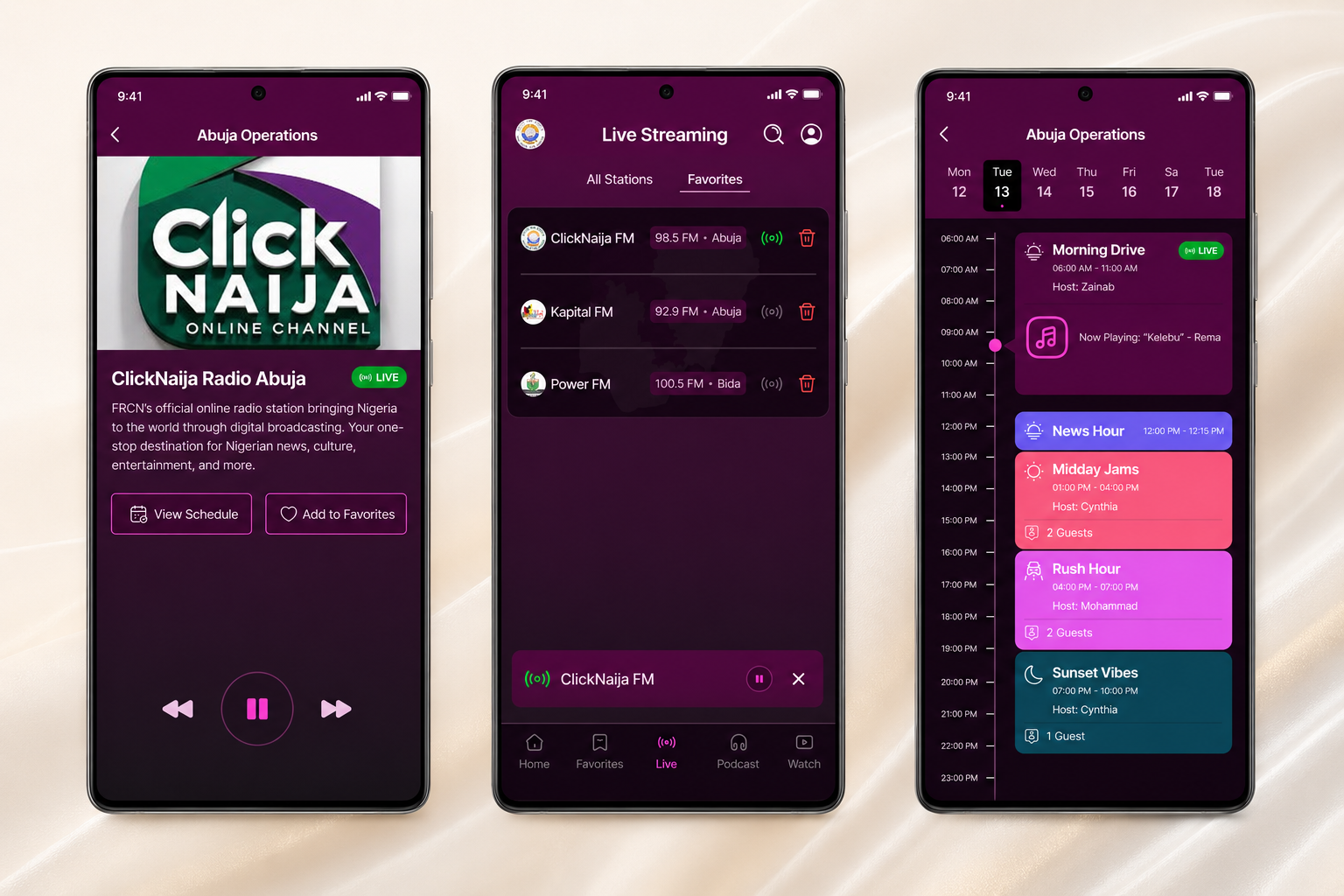 Radio Nigeria detail
